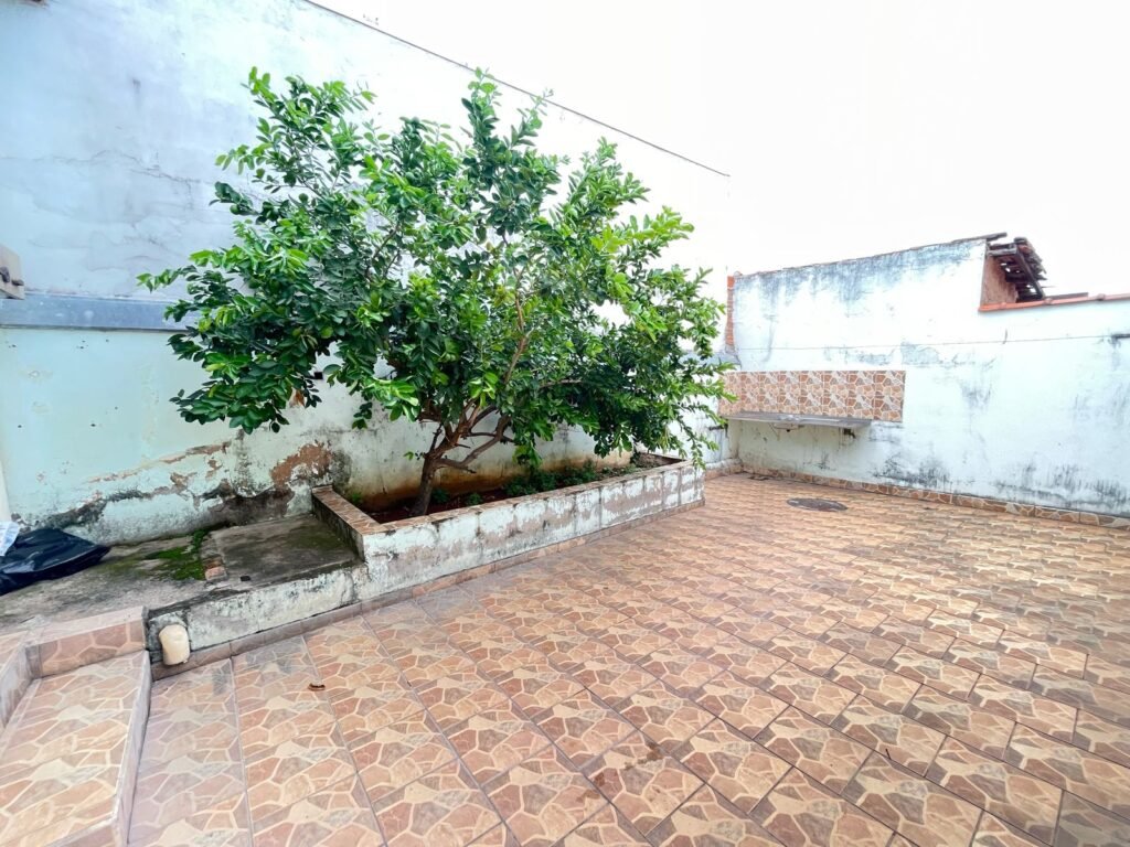IMG-20240221-WA0017