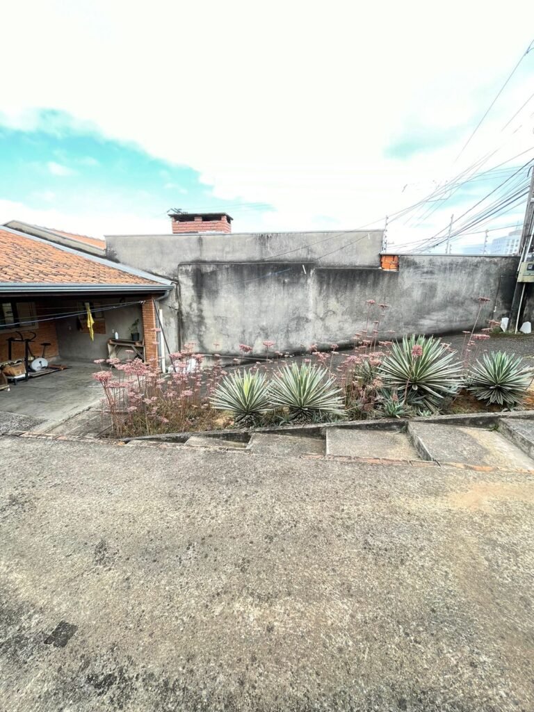 IMG-20240221-WA0042