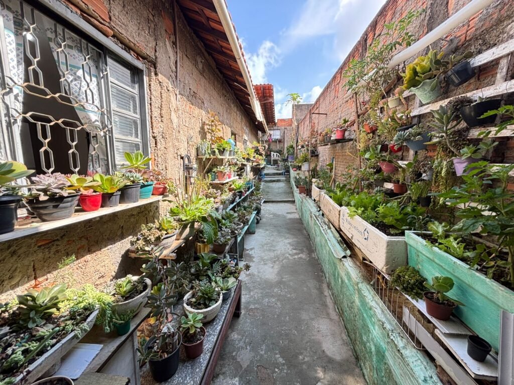 WhatsApp Image 2025-10-14 at 14.38.22